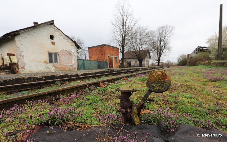 Gările uitate ale fostei căi ferate cu cremalieră. Ce s-a ales de linia care lega regiunile istorice Ardeal și Banat