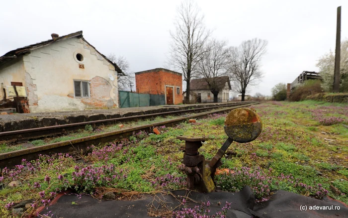 Calea ferată Hațeg - Caransebeș. Foto: Daniel Guță. ADEVĂRUL