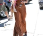 Alessandra Ambrosio Heads To A Meeting In BH jpeg