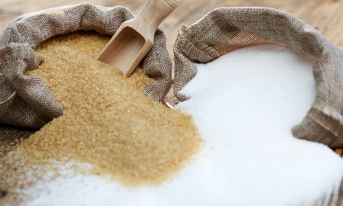 1 shutterstock 339926630 jpg jpeg