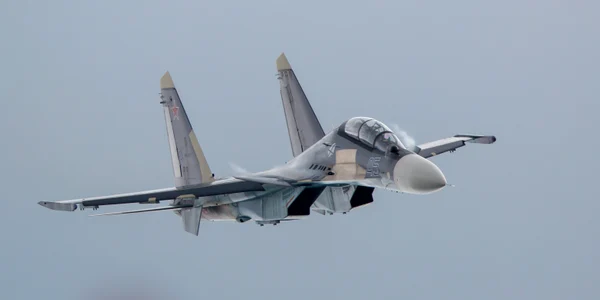 Partizani din Rusia ar fi distrus un avion SU 30sm FOTOshutterstock 2050897424 jpg