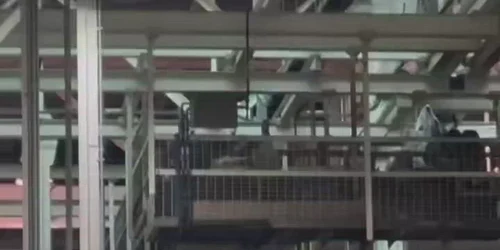 Nick Sortor      LMAO Someone HECKLED President Trump at the Ford plant today so h    SsMHZT mp4 thumbnail png