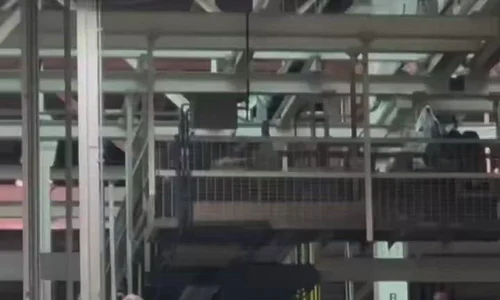 Nick Sortor LMAO Someone HECKLED President Trump at the Ford plant today so h SsMHZT mp4 thumbnail png