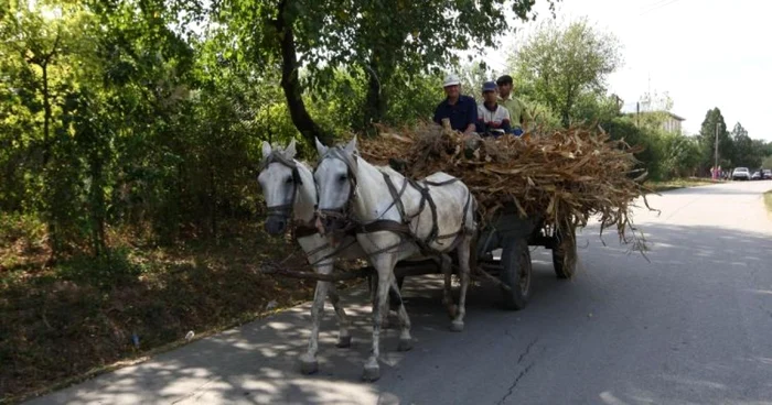 Proiectul începe luni