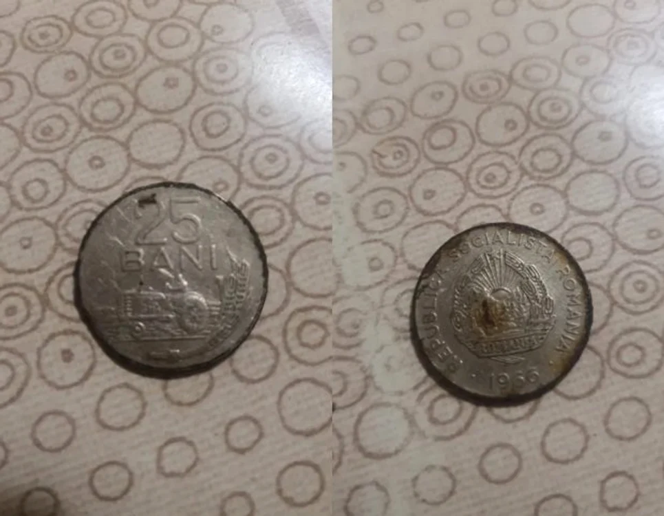 Moneda de 25 de bani