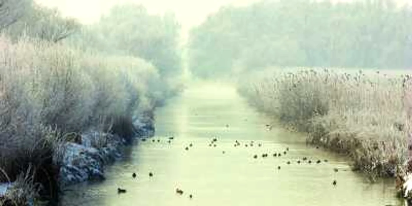 Braconajul a limitat resursele piscicole din Delta Dunării
