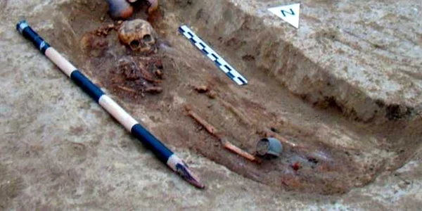 Scheletul lui Innocens de la Castrul Barboşi FOTO Muzeul de Istorie Galaţi