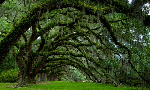 1 57037 original jpg jpeg