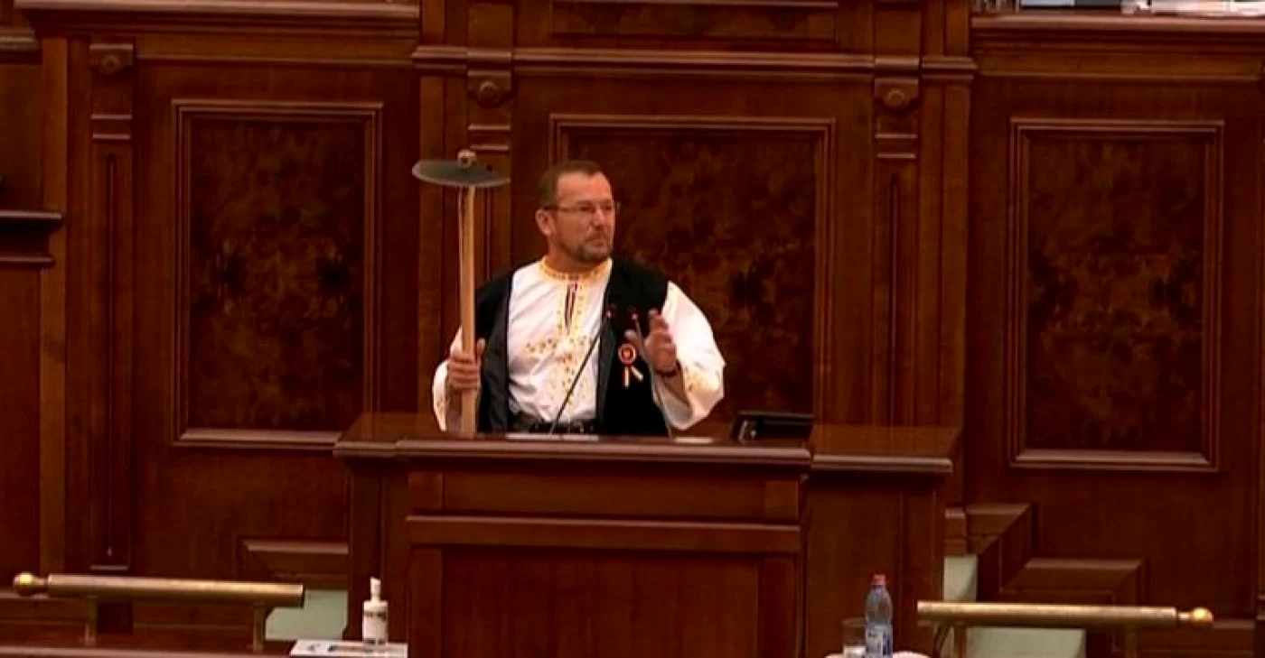 Senator cu sapa în Parlament FOTO Captură / Senatul României