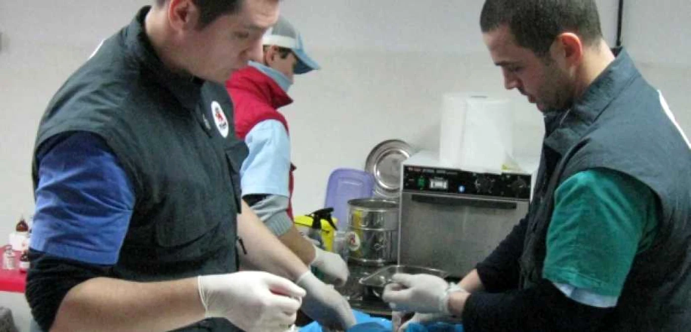 Vier Pfoten revine în Suceava pentru sterilizarea animalelor comunitare