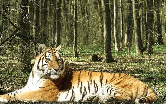 Grădina Zoologică are 1.839 de animale grupate în 211 de specii