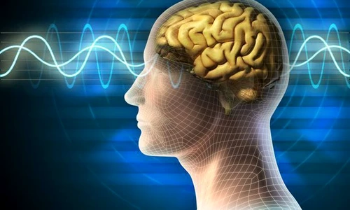 1 creier shutterstock 65181187 jpg jpeg