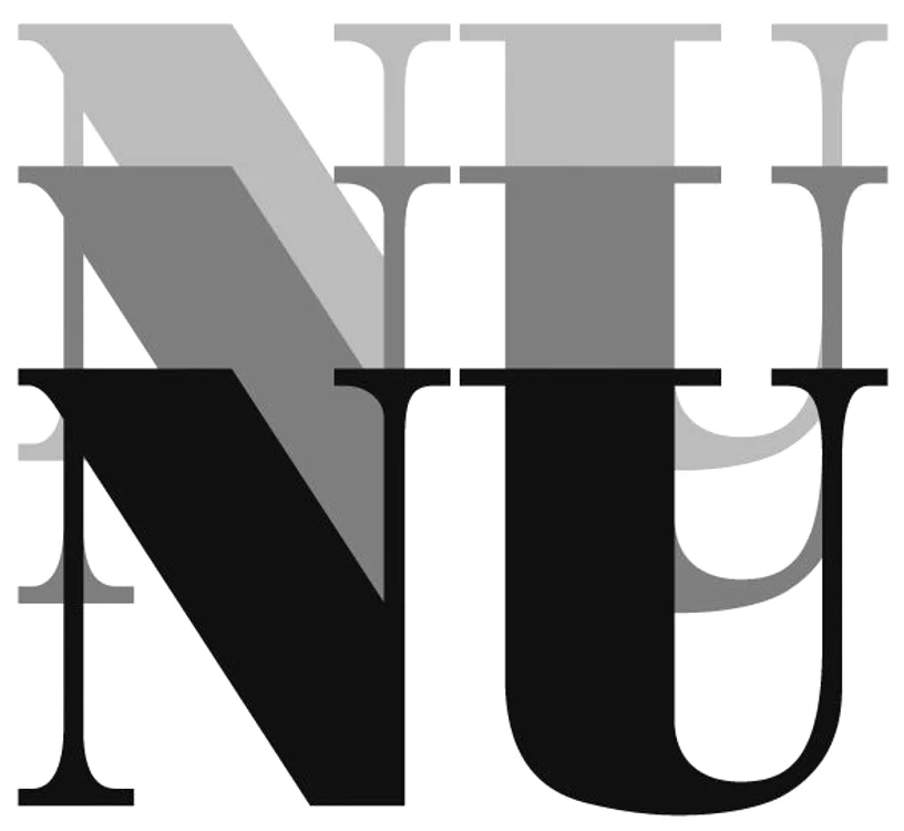 Arta de a spune „nu“   interviu cu Zenobia NICULIȚĂ jpeg