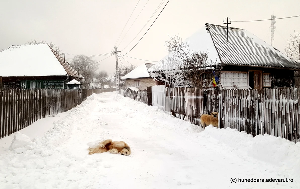 Satul Bătrâna, iarna. Foto: Daniel Guță