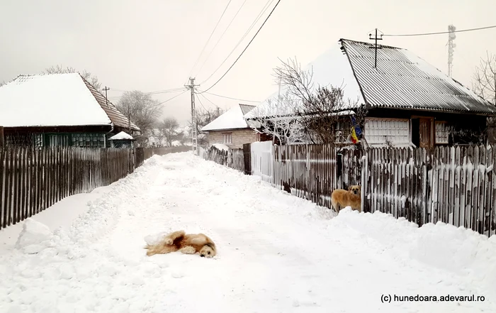 Satul Bătrâna, iarna. Foto: Daniel Guță