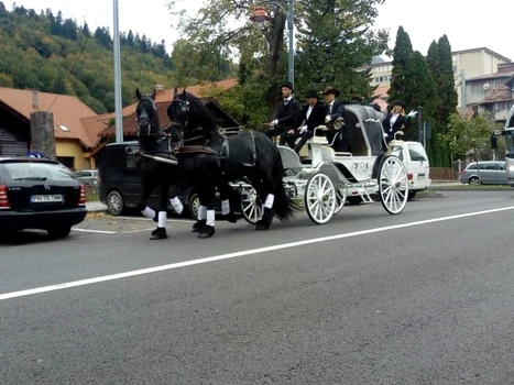 1 caleasca 2 jpg jpeg