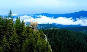 skywalk piatra soimului jpg