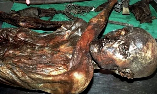 Misterul morţii lui Ötzi se adânceşte jpeg