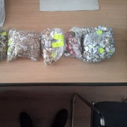 anaf pungi cu bijuterii foto anaf jpeg