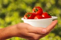 tomatoes 1993695 1280 jpg