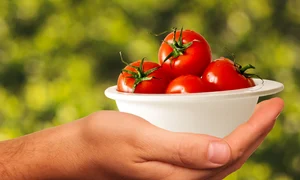 tomatoes 1993695 1280 jpg