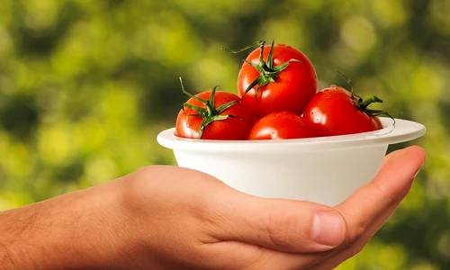 tomatoes 1993695 1280 jpg