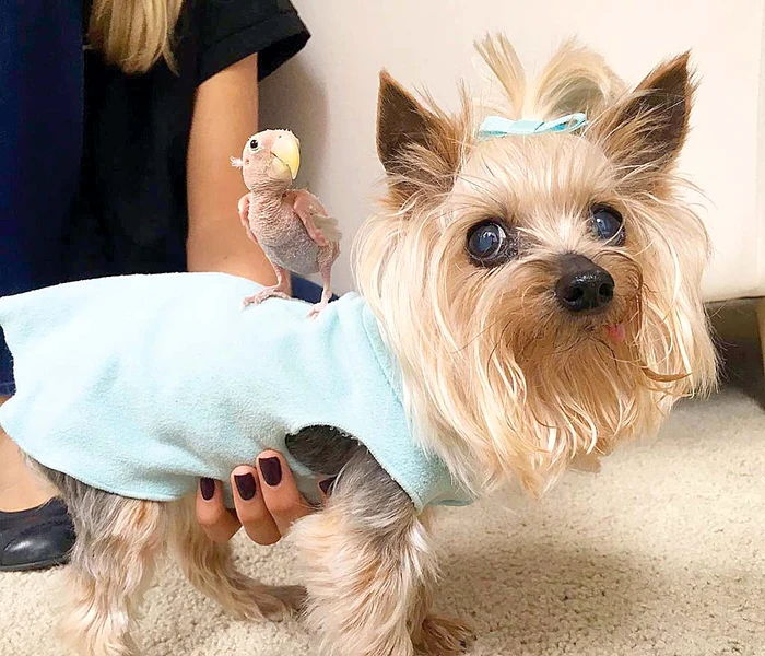 Blănosule, te-ai şi îmbrăcat şi eu sunt gol