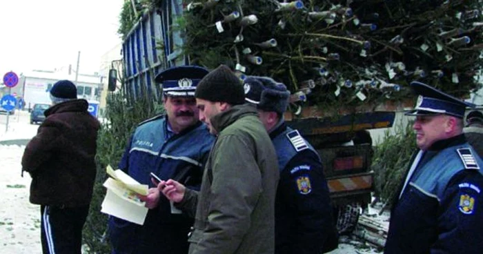 Poliţiştii au verificat fiecare maşină care transporta brazi