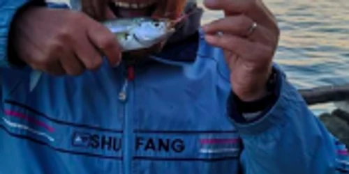 Iancu Avram a înotat în Marea Neagră de la Sulina la Istanbul Sursa Facebook Avram iancu