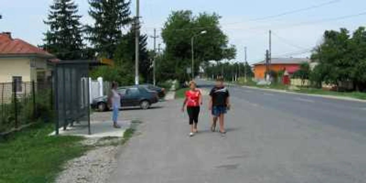Târgovişte:  Gripa porcină a intrat în Dâmboviţa pe la Crevedia