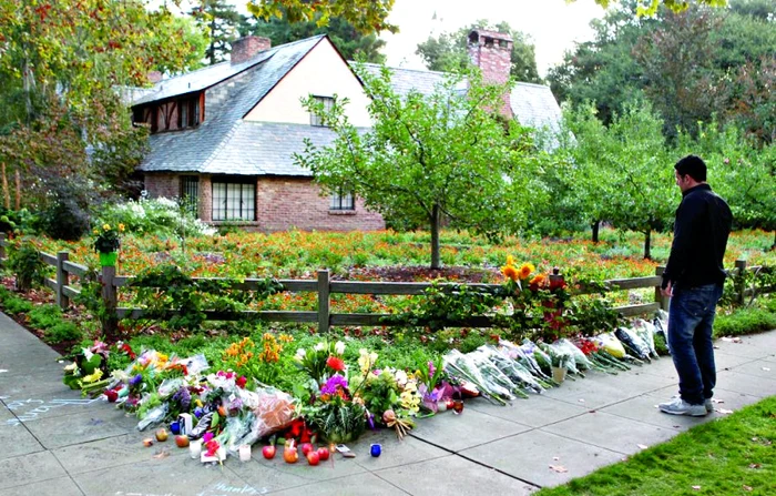 Steve Jobs (fotografii: afp)