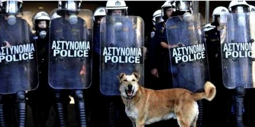 referendum in grecia politie jpeg