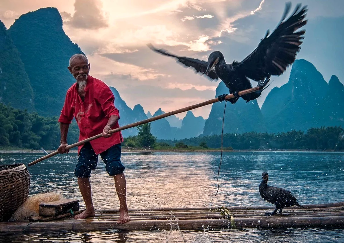 Cormorant fishing in Yangshuo jpg