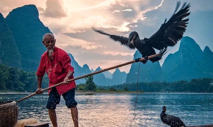 Cormorant fishing in Yangshuo jpg
