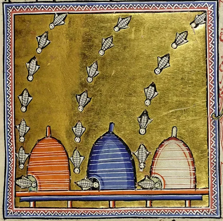 Stupi de albine din Bestiarul din Aberdeen (© Aberdeen University Library Online Collections)