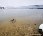 Lacul Cinciș iarna, foto Daniel Guță, ADEVĂRUL (8) jpg