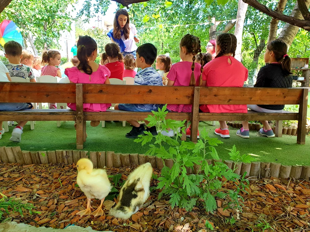 Păsările și animalele sunt nelipsite din procesul de învățare FOTO Cremona Stegaru