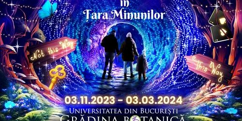 Alice in tara minunilor