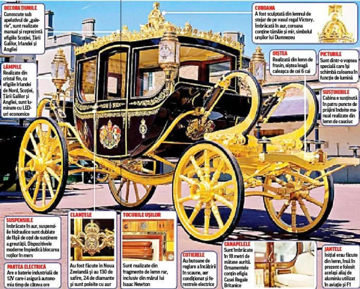 
    Bebelușul a fost hrănit printr-un tub introdus în abdomenFoto: Hepta  
