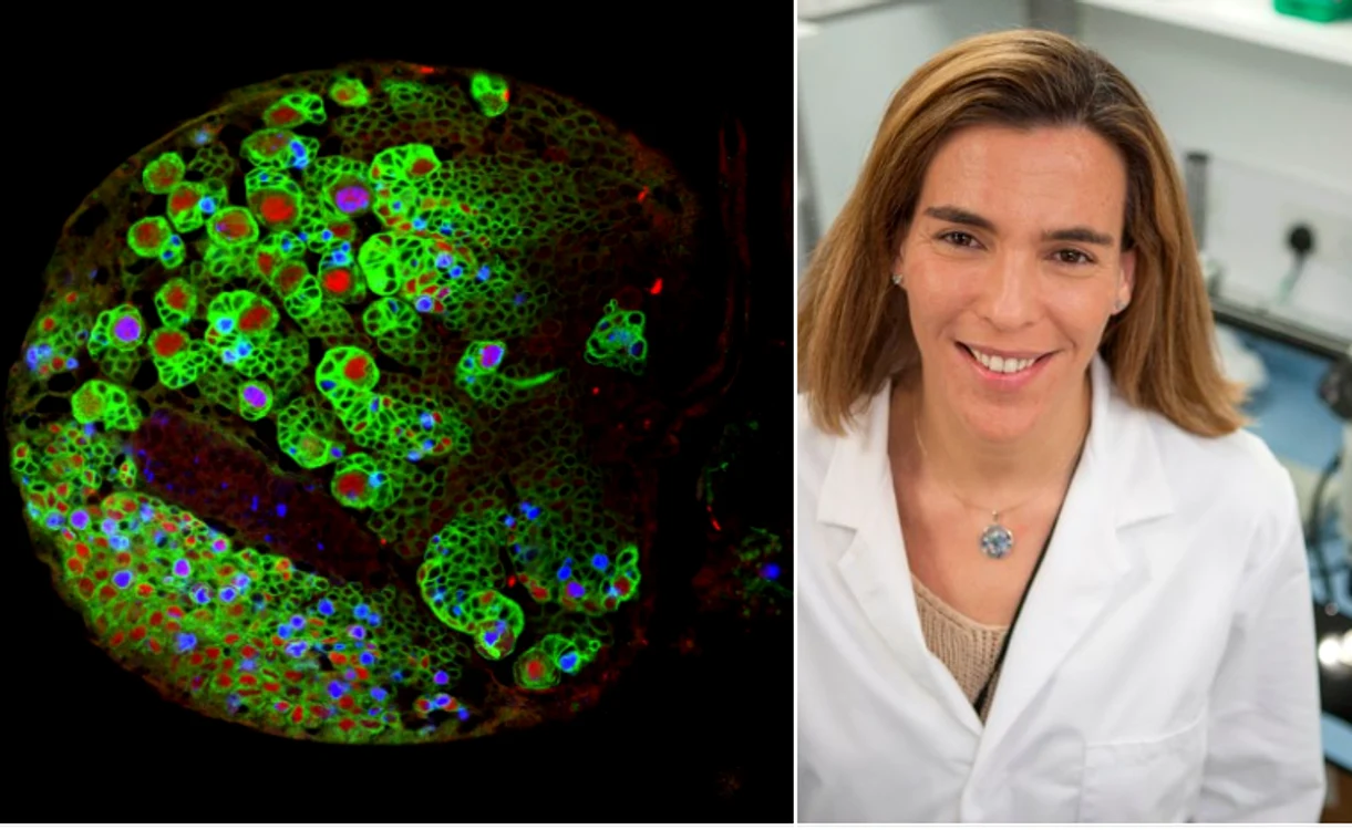 Dr Claudia Barros. FOTO Facebook Brain Tumour Research 
