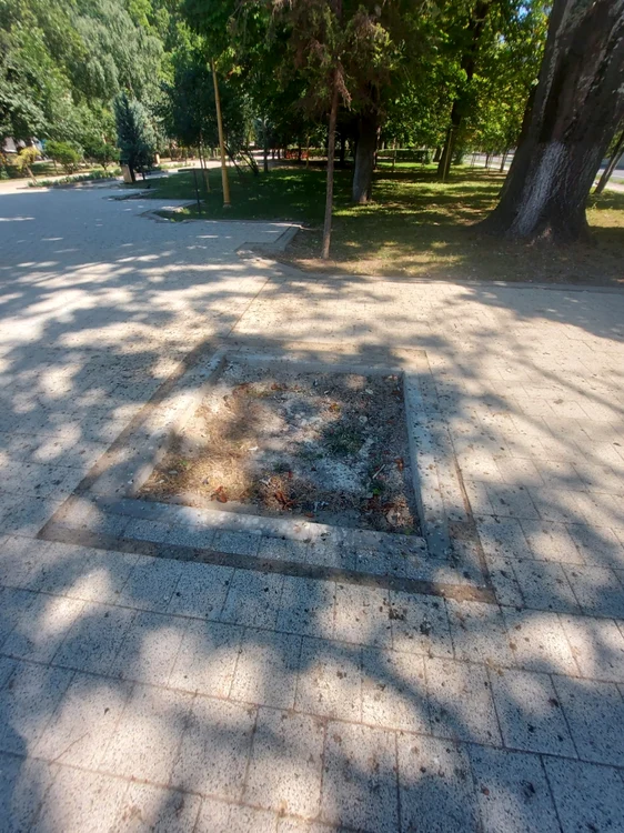 Defrişări în Parcul Tomis 2 FOTO A.M.