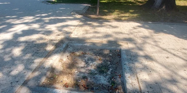 Parcul Tomis 2