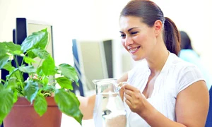 CLIIMA20120120 0080 1 jpeg