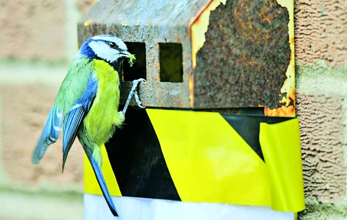 «Inamicul» sustrage  corespondenţa