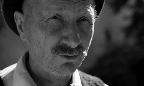 «Moromeții 2»   personajele lui Marin Preda se întorc pe marele ecran jpeg