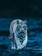 3 shutterstock 2008154891 jpg jpeg