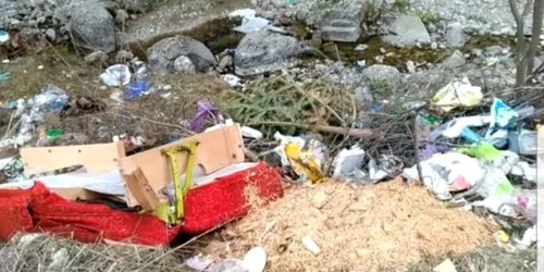 parc national busteni plin de gunoaie foto facebook/ oras busteni