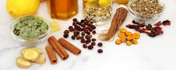 1 shutterstock 1808533492 jpg jpeg