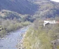 Pentru defrişările şi jaful din pădurile de pe Valea Muntelui nu există vinovaţi FOTO Mircea Merticariu