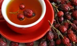 macesul planta care trateaza 100 de boli jpg jpeg